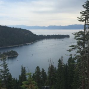 Meet your Posher, Arianna